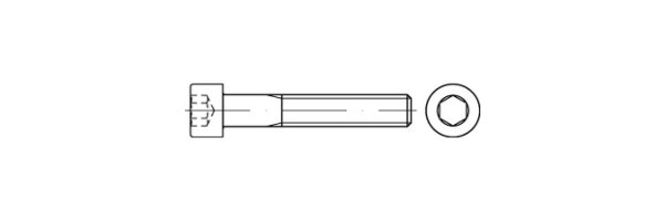 ISO 12474 12.9 Zylinderschrauben mit Innensechskant, mit metrischem Feingewinde