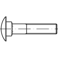 DIN 603 A 2 Flachrundschrauben M 6 x 55  (VE 100 Stück)