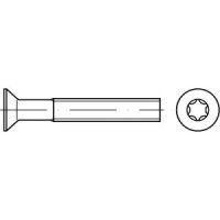 ISO 14581 A 2 Senkschrauben M 3 x 22 -T10 (VE 1000...