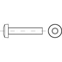 ISO 14583 4.8 Flachkopfschrauben M 6 x 30 -T30 galv....