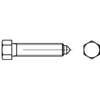 DIN 564 22 H (8.8) Sechskantschrauben BM 16 x 60 (VE 10...