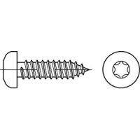 ISO 14585 Blechschrauben 5,5 x 60 -C-T25 verzinkt (VE 250...