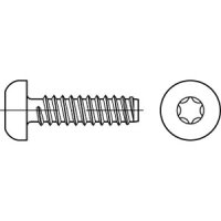 ISO 14585 Blechschrauben 3,5 x 19 -F-T15 verzinkt (VE...